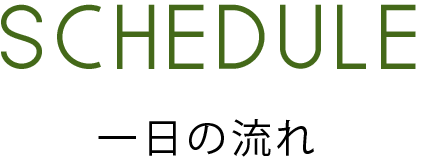 １日の流れ